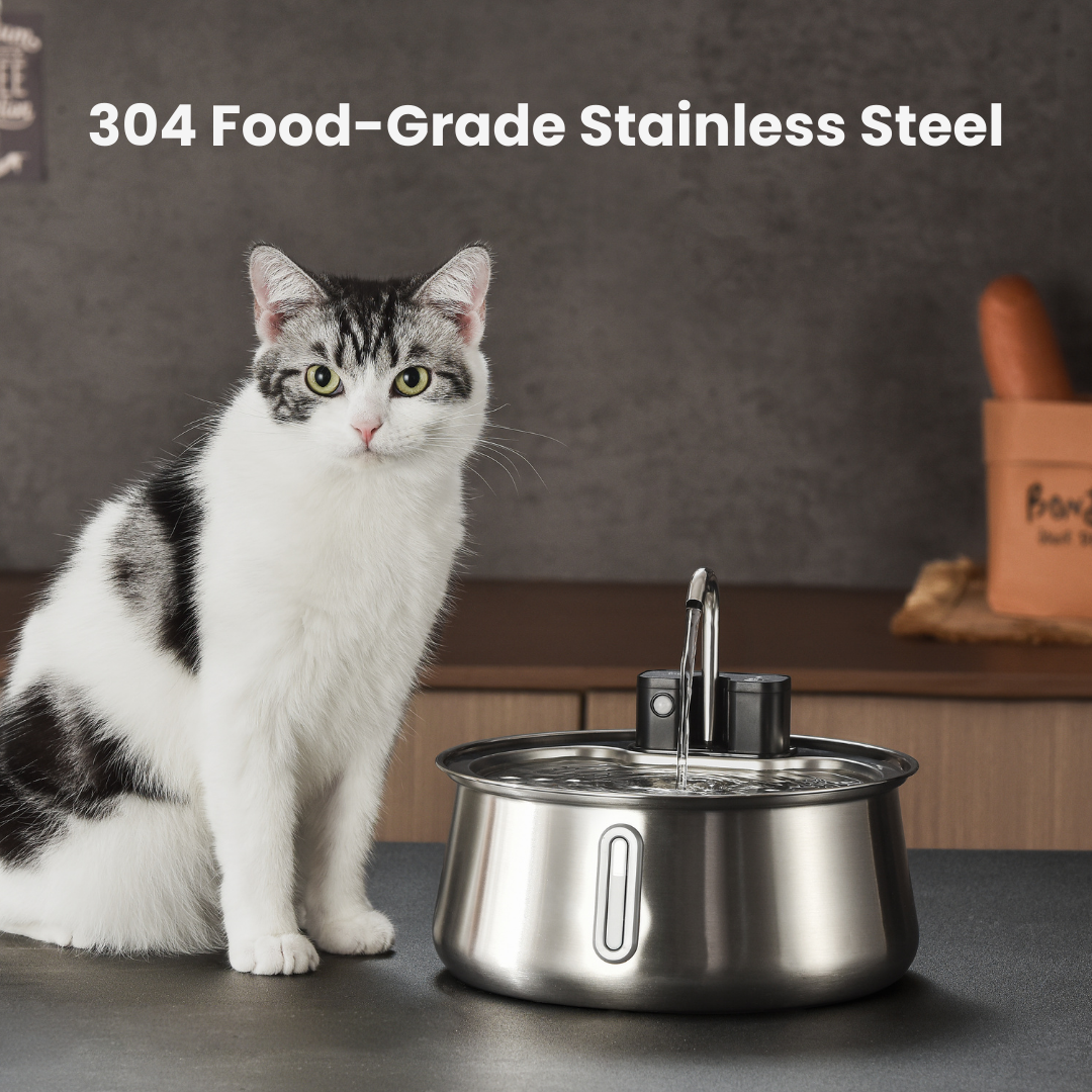 Aqua Paw™ - Voor jouw vitale vierpoter