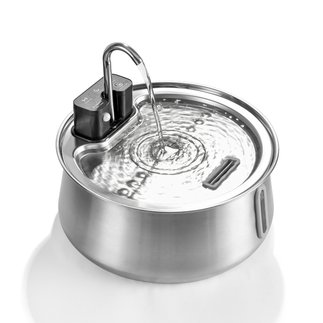 Aqua Paw™ - Voor jouw vitale vierpoter