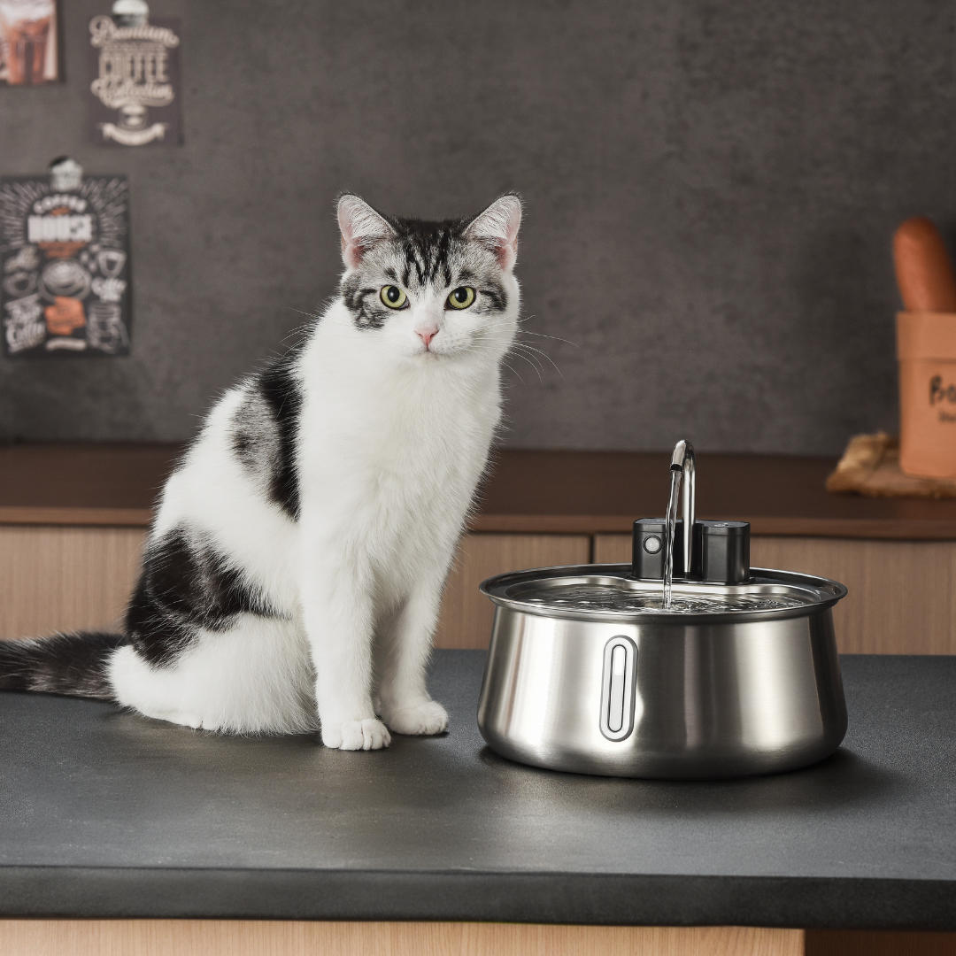 Aqua Paw™ - Voor jouw vitale vierpoter