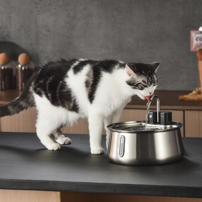 Aqua Paw™ - Voor jouw vitale vierpoter